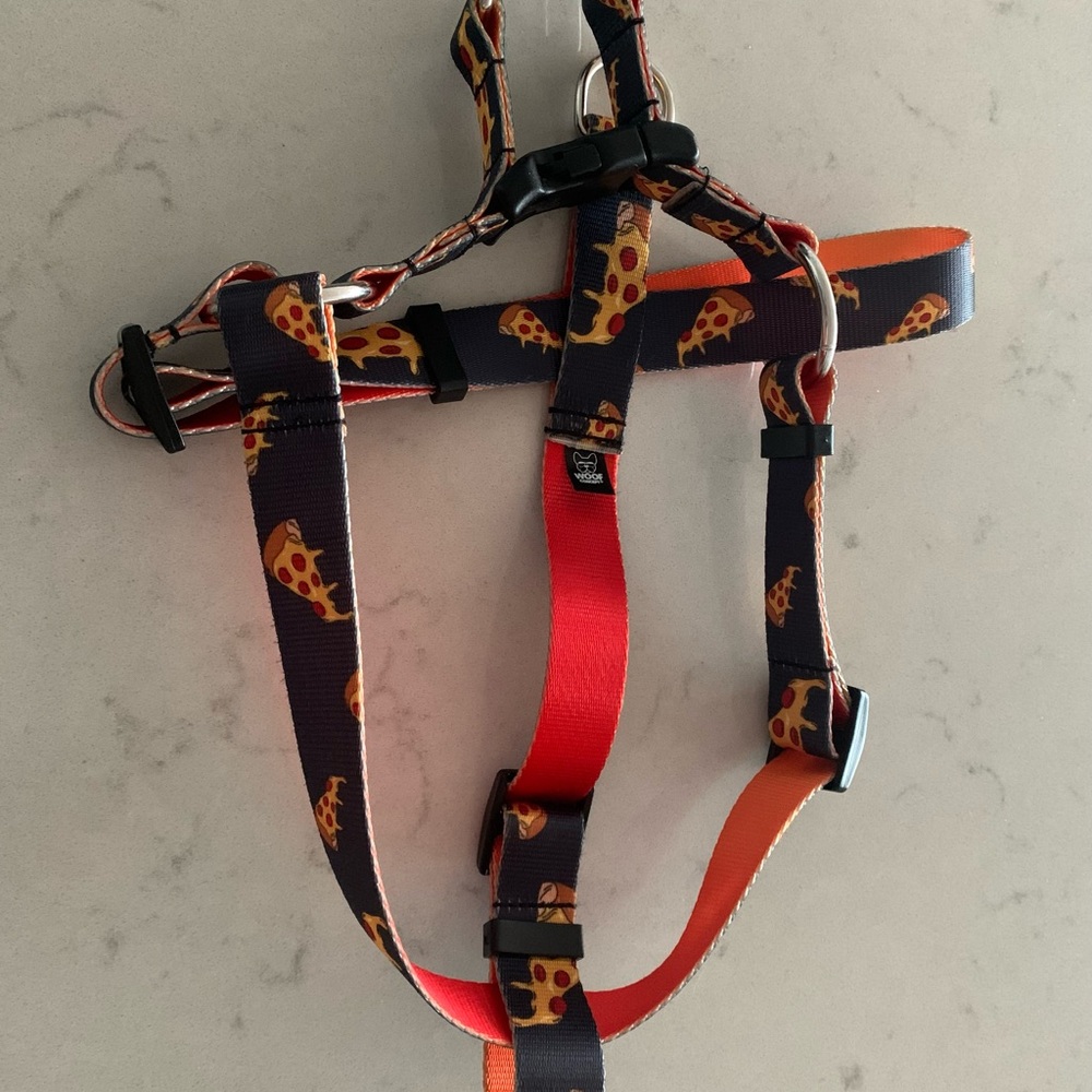 Pet harness